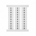 1773430021參考圖片