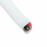 2824/3 WH005參考圖片