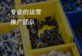 專業(yè)品質檢測